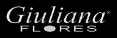 Logo giuliana flores